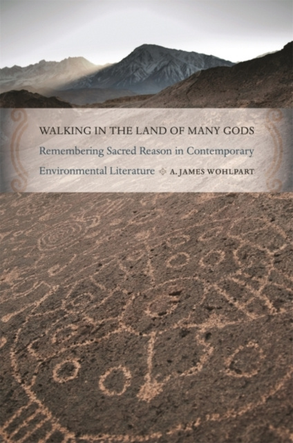 E-kniha Walking in the Land of Many Gods A. James Wohlpart