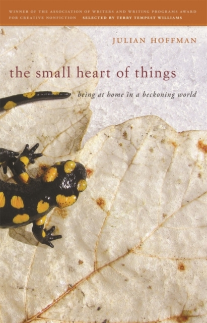 E-kniha Small Heart of Things Julian Hoffman