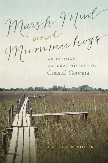 E-knjiga Marsh Mud and Mummichogs Evelyn B. Sherr