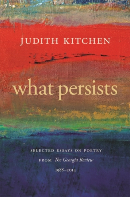 E-book What Persists Judith Kitchen