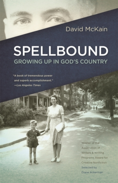 E-knjiga Spellbound David McKain