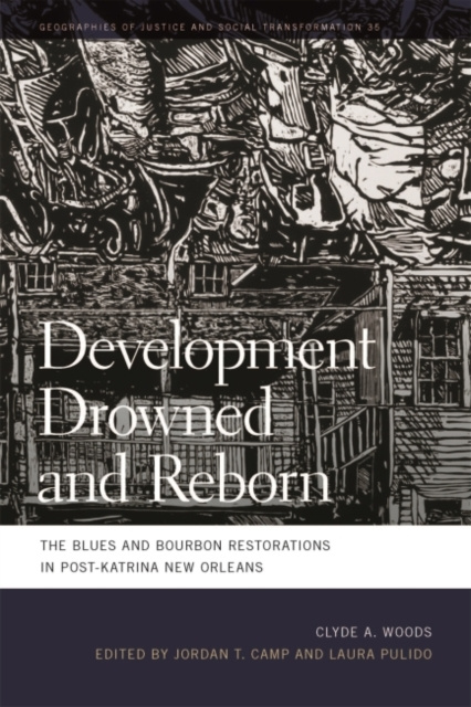E-book Development Drowned and Reborn Clyde Woods