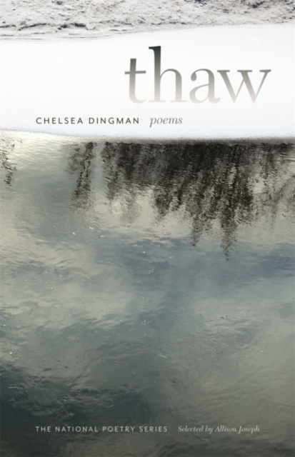 E-knjiga Thaw Chelsea Dingman