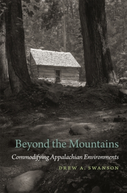 E-book Beyond the Mountains Drew A. Swanson