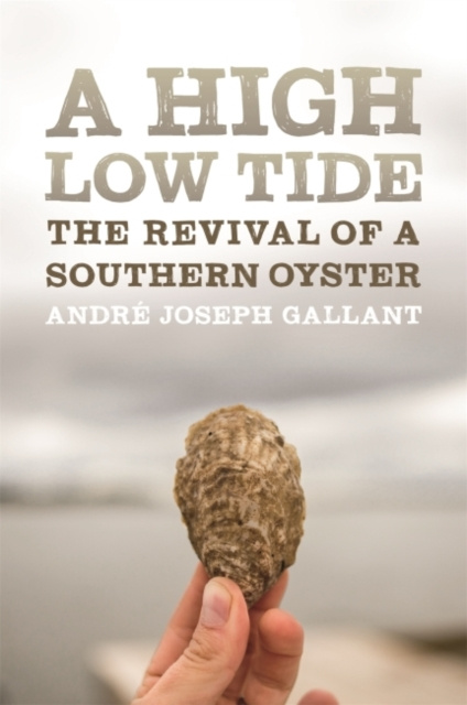 E-knjiga High Low Tide Andre Joseph Gallant