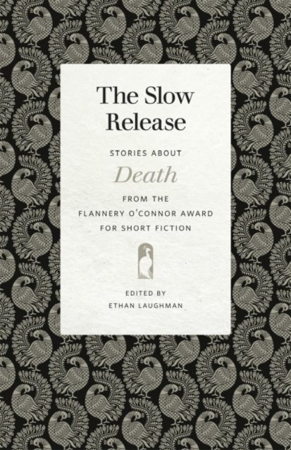 E-knjiga Slow Release Ethan Laughman