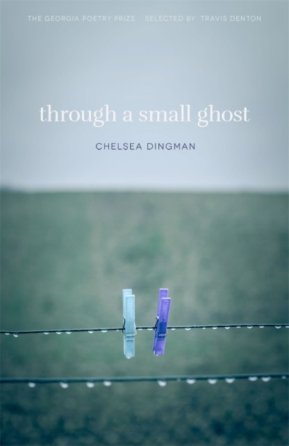 E-book Through a Small Ghost Chelsea Dingman