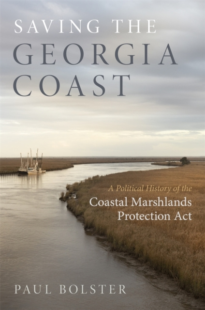 Livre numérique Saving the Georgia Coast Paul Bolster