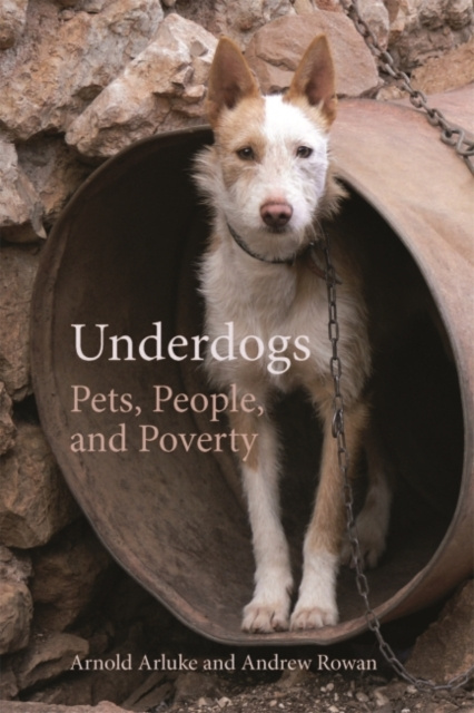E-knjiga Underdogs Arnold Arluke