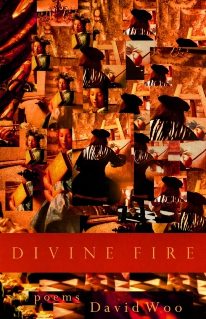 E-knjiga Divine Fire David Woo