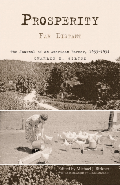 E-book Prosperity Far Distant Charles M. Wiltse