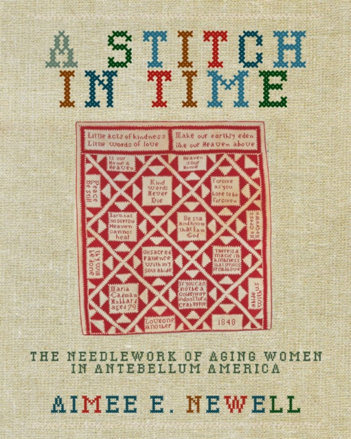 E-Book Stitch in Time Aimee E. Newell