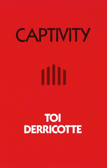 E-knjiga Captivity Derricotte Toi Derricotte