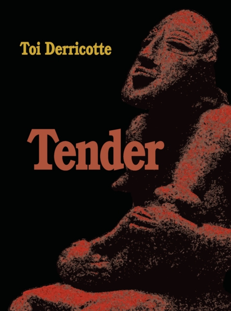 E-knjiga Tender Derricotte Toi Derricotte