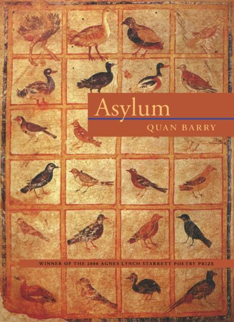 E-knjiga Asylum Barry Quan Barry