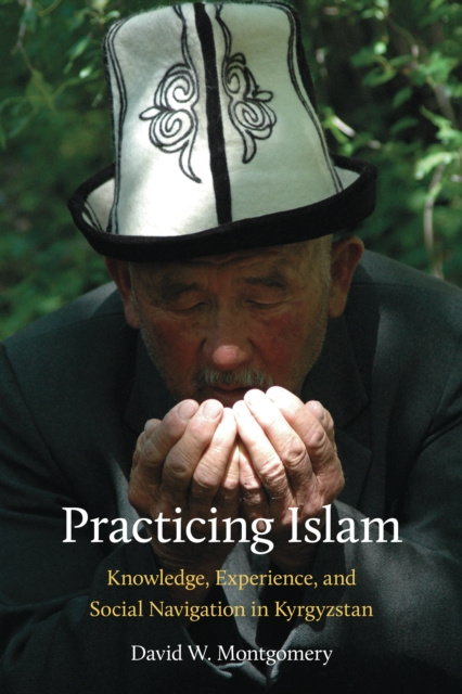 E-knjiga Practicing Islam Montgomery David W. Montgomery