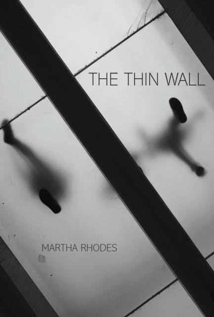 E-knjiga Thin Wall Rhodes Martha Rhodes