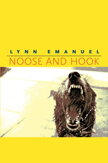 E-knjiga Noose and Hook Emanuel Lynn Emanuel