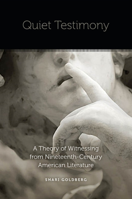 E-book Quiet Testimony Goldberg