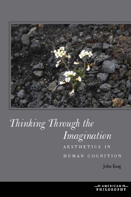 E-kniha Thinking Through the Imagination Kaag