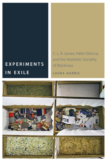 E-knjiga Experiments in Exile Laura Harris