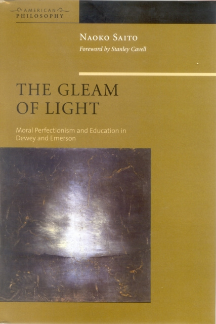 E-kniha Gleam of Light Saito