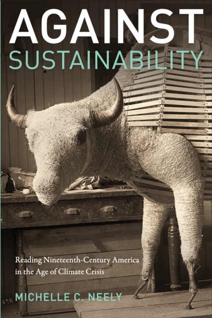 E-book Against Sustainability Neely