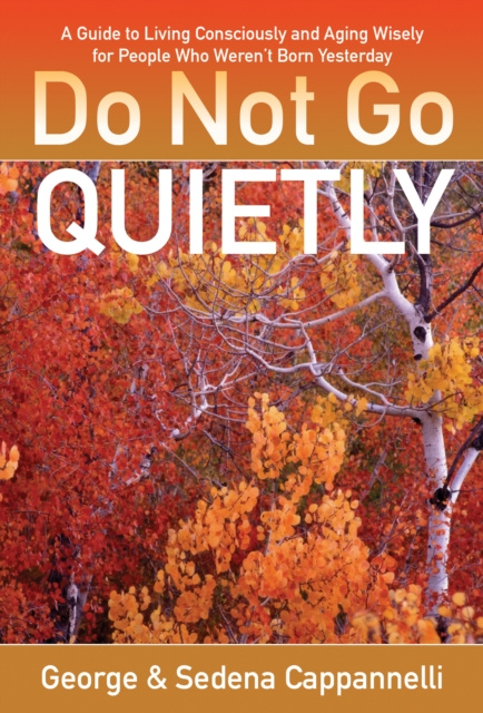 E-kniha Do Not Go Quietly George Cappannelli