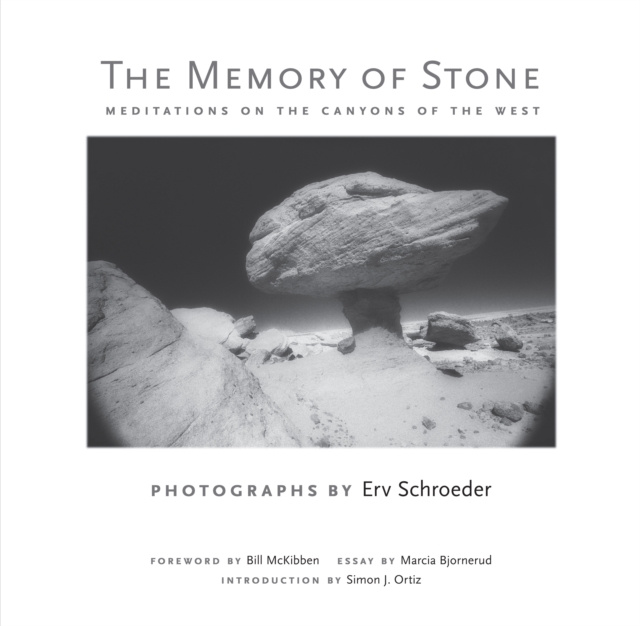 E-Book Memory of Stone Erv Schroeder