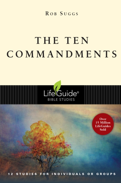 E-kniha Ten Commandments Rob Suggs