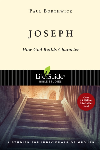 E-book Joseph Paul Borthwick