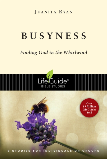 E-Book Busyness Juanita Ryan