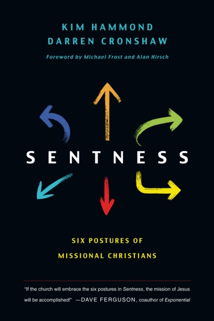 E-book Sentness Kim Hammond