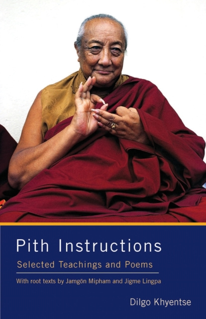 E-kniha Pith Instructions Dilgo Khyentse Rinpoche