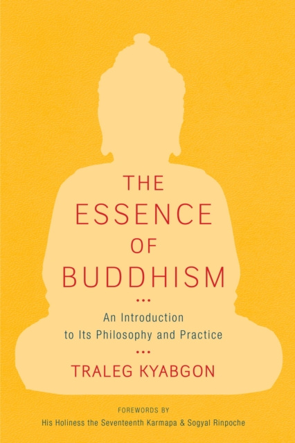 E-kniha Essence of Buddhism Traleg Kyabgon