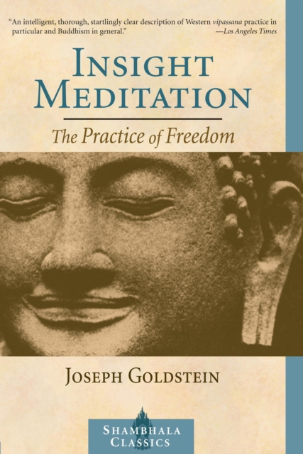 E-kniha Insight Meditation Joseph Goldstein