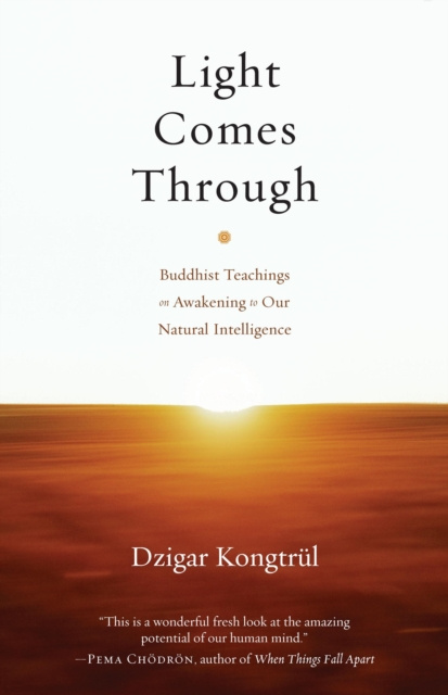 E-Book Light Comes Through Dzigar Kongtrul