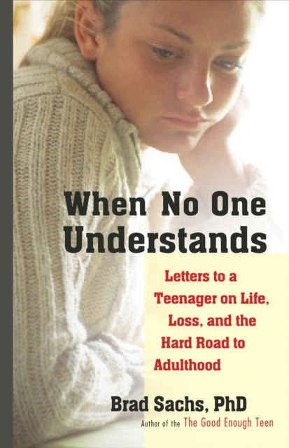 E-book When No One Understands Brad Sachs