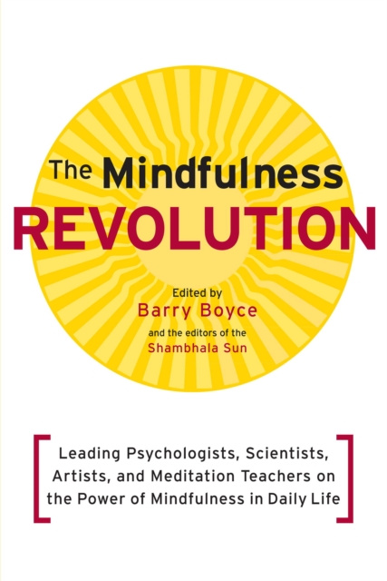 E-kniha Mindfulness Revolution Barry Boyce