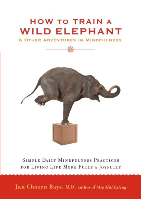 E-kniha How to Train a Wild Elephant Jan Chozen Bays