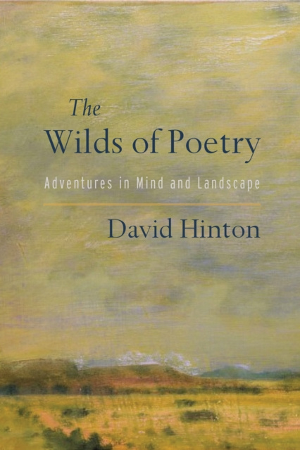 E-kniha Wilds of Poetry David Hinton