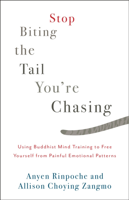 E-book Stop Biting the Tail You're Chasing Anyen Rinpoche