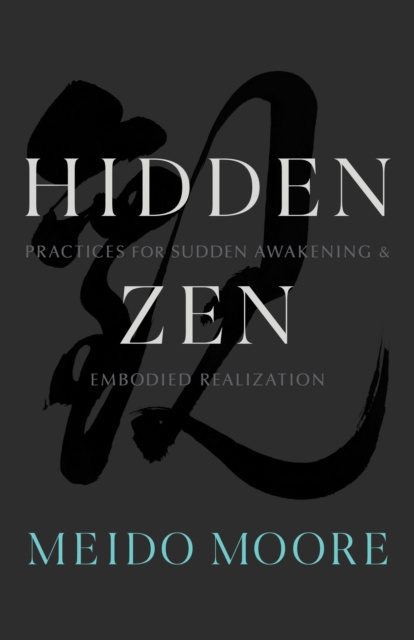 E-knjiga Hidden Zen Meido Moore