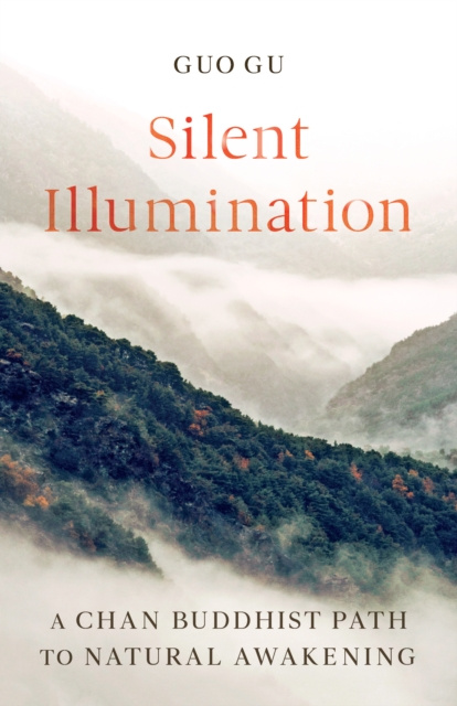 E-kniha Silent Illumination Guo Gu