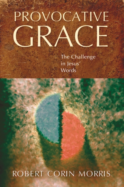 E-knjiga Provocative Grace Robert Corin Morris