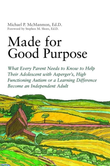 E-book Made for Good Purpose Stephen Shore