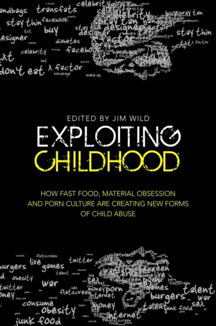 E-book Exploiting Childhood Stephen Haff