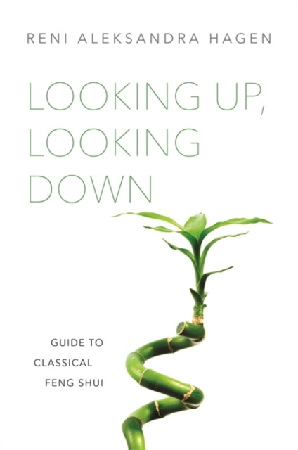 E-book Looking Up, Looking Down Reni Aleksandra Hagen