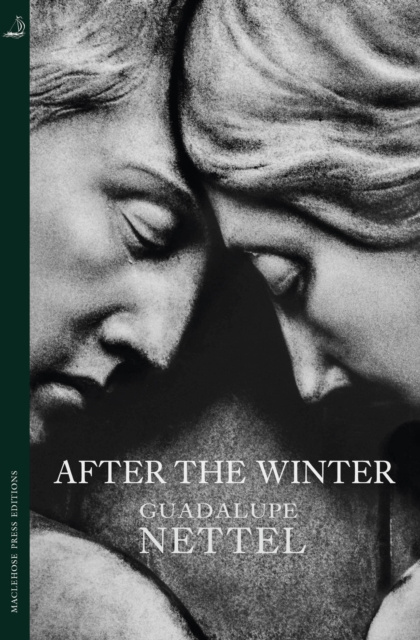 E-book After the Winter Guadalupe Nettel