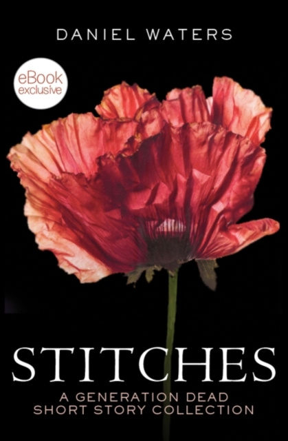 E-book Stitches Daniel Waters